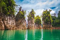 Rochers envahis par la végétation Khao Sok