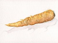 Wenn das Leben Ihnen Karotten schenkt