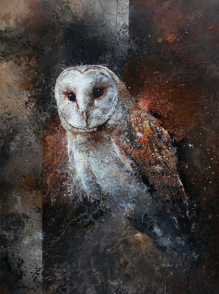 barn owl by Peter van Loenhout