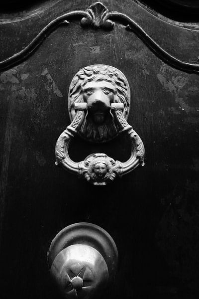 Klopfen..... von Naomi's photo art