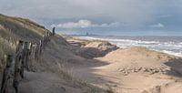 View at Scheveningen from the shoreline