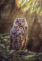 Mit der falschen Kralle aus dem Bett gestiegen