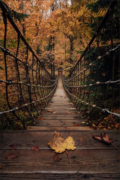Herbst im Sauerland von Joris Machholz