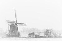Winter-Holland auf der Groote Poldermolen Slochteren