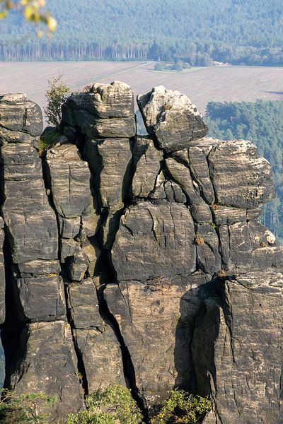 Lilienstein (Suisse saxonne / Elbsandsteingebirge) par t.ART