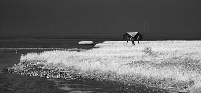 Kiekkaaste Nieuw Statenzijl in black and white by R Smallenbroek