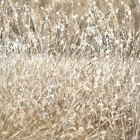 wild grasses