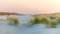 Dunes in pastel colours
