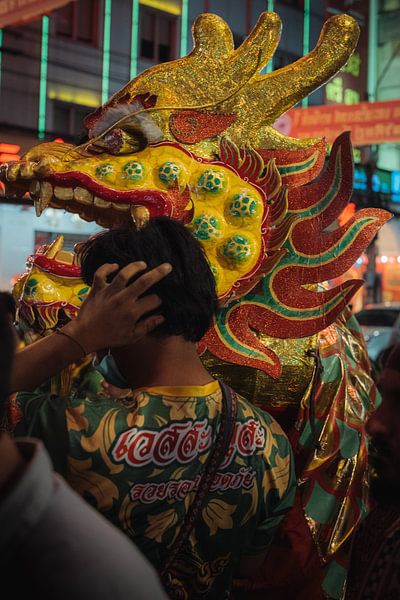 Drachentänzer im goldenen Glanz von NZME Photography