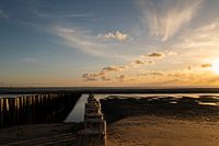 Beach poles by the sea