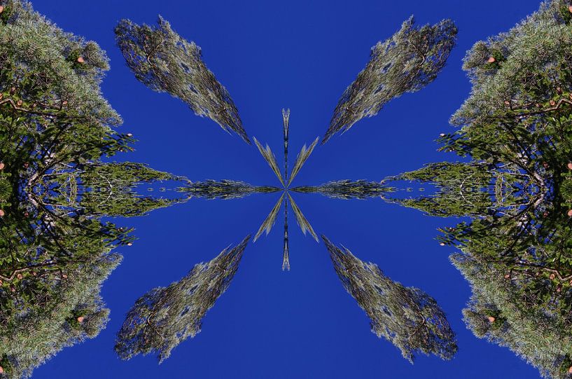 Blau und Grün, Natur von Daniel Dorst