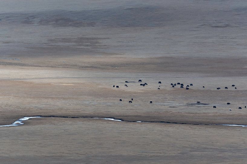 Paysage désolé Mongolie | Photographie de nature par Nanda Bussers