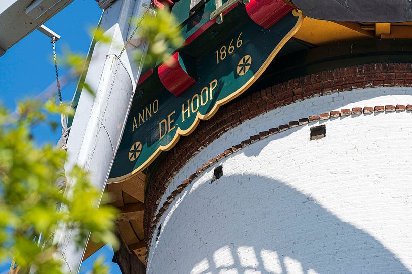 Die Hoffnung von Liefs van Peet