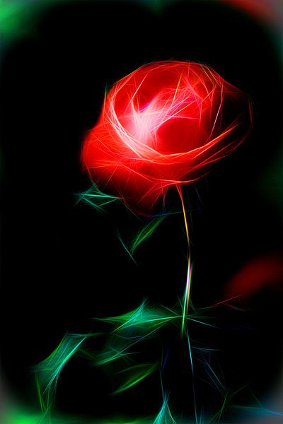 Düfte sind die Gefühle der Rose von Karl-Heinz Lüpke