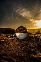 Natuurfoto met een lensbal