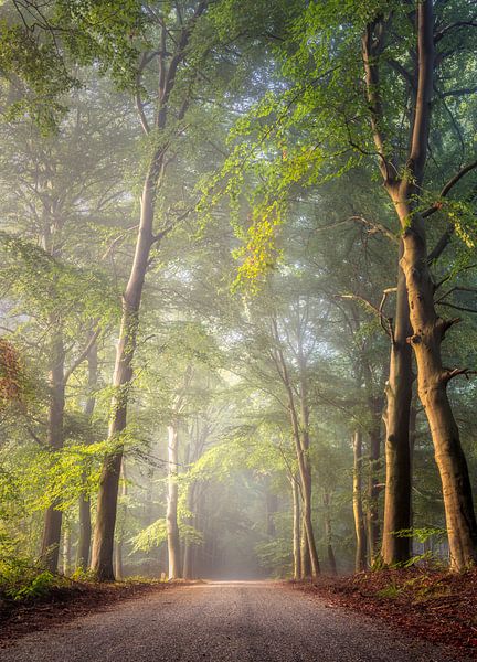 Magical light. by Verliefd op Utrecht