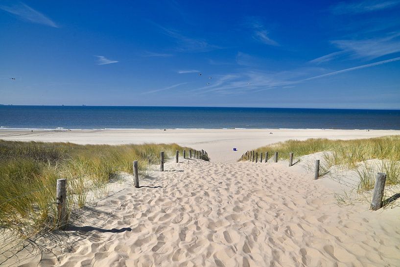 Panoramastrand. von Peter van Rijn