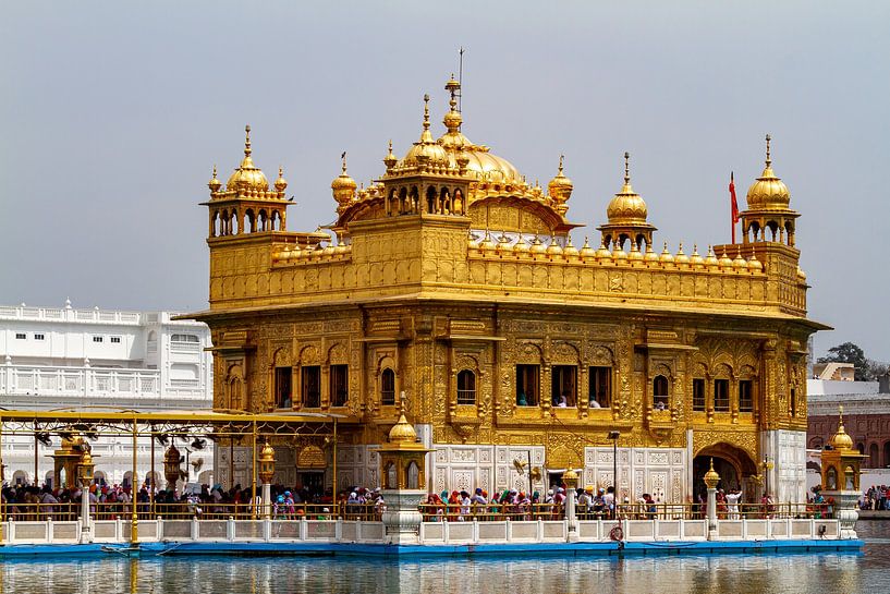The Harmadir Sahib Golden Temple in Amritsar by Roland Brack