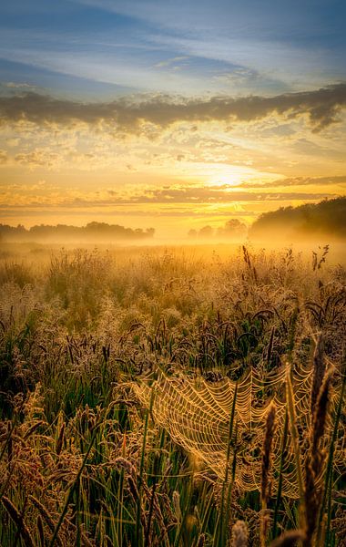 Sunrise over De Weerribben-Wieden National Park on a beautiful misty spring morning by Bas Meelker