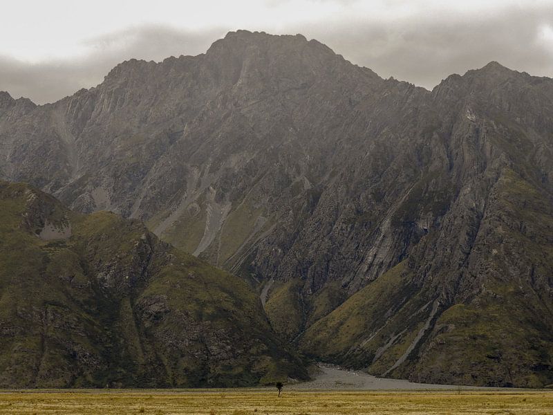 Eenzame boom in Arthur's Pass National Park, Nieuw-Zeeland von J V