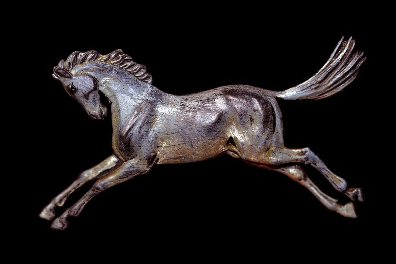 Laufende Pferd von Jolanta Mayerberg