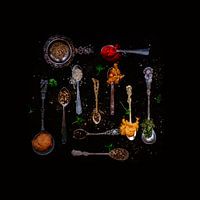 Herbes et épices dans toutes sortes de cuillères