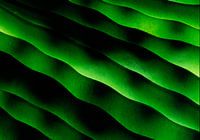 Composition with beans