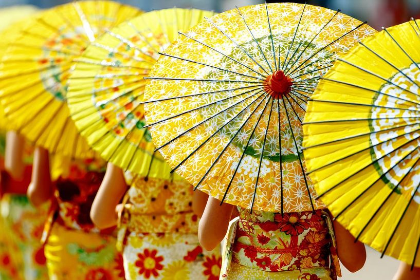 Le Japon en images Geisha par Egon Zitter