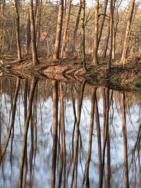 Lange Beine. von snippefotografie