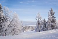 Snow in Finnish Lapland