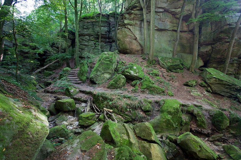 Rocks in Mullerthal, Luxembourg by Kees van Dun