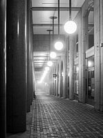 Boulevard de Paris dans la brume