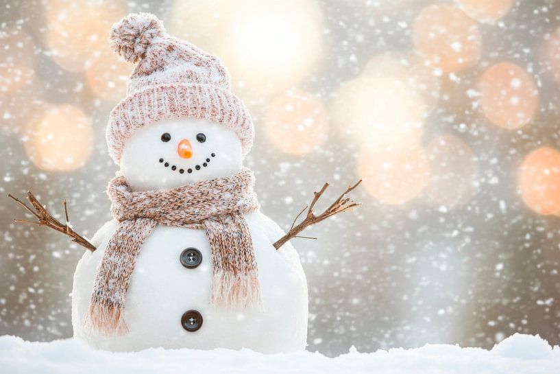 Schneemann Freude von Poster Art Shop