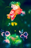 Fluoreszierende Blumen