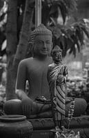 Deux statues de Bouddha l'une en face de l'autre