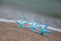 Drie zeesterren op het strand