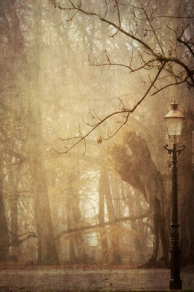 Fairytale von Simone Sterkenburg