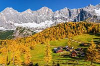 Almen am Fuße des Hohen Dachsteins