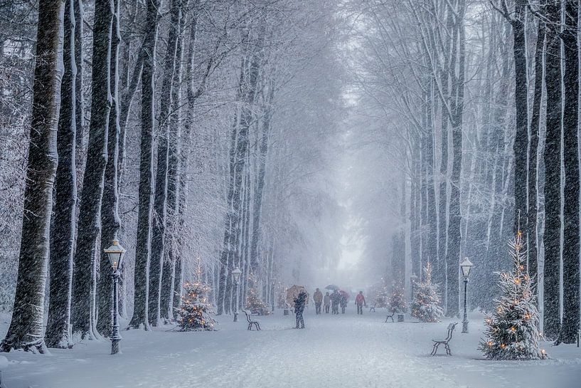 Noël dans la forêt par Niels Barto