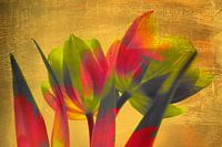 Art-Deco-Tulpen
