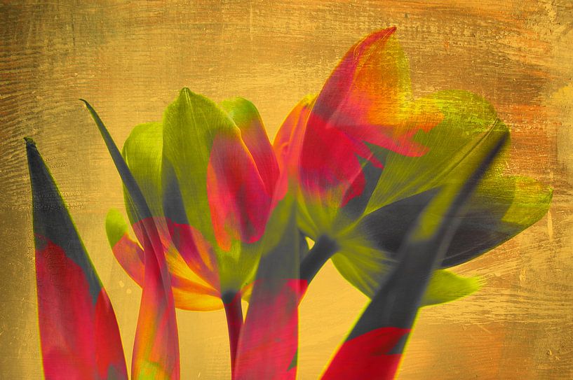 Tulipes art déco par Martine Affre Eisenlohr