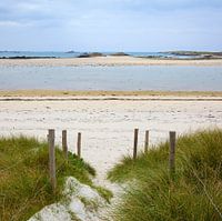 Dunes avec vue sur la mer.