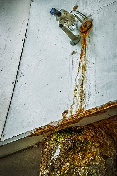 Tropicana, the abandoned swimming pool: the eye of the beholder by Pieter van Roijen