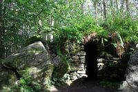 Verlassene Brücke im Wald