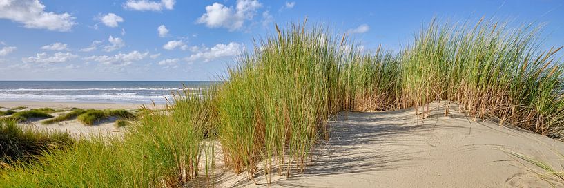 Nordsee mit Strand und Dünen von eric van der eijk
