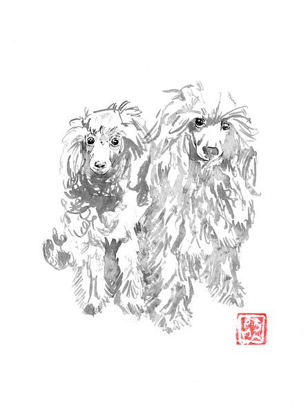 deux chiens par Péchane Sumie
