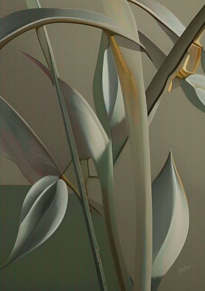 Zweige mit Blättern von Nop Briex