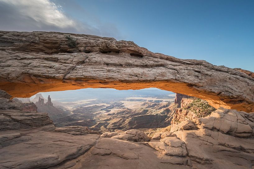 Naturbogen von Robby van Vliet