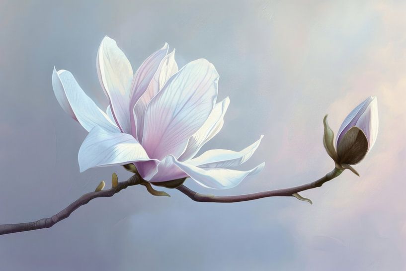 Magnolienblüte von Poster Art Shop
