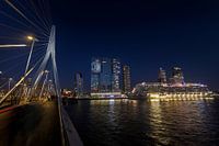 Rotterdam,Rotterdam,Rotterdam